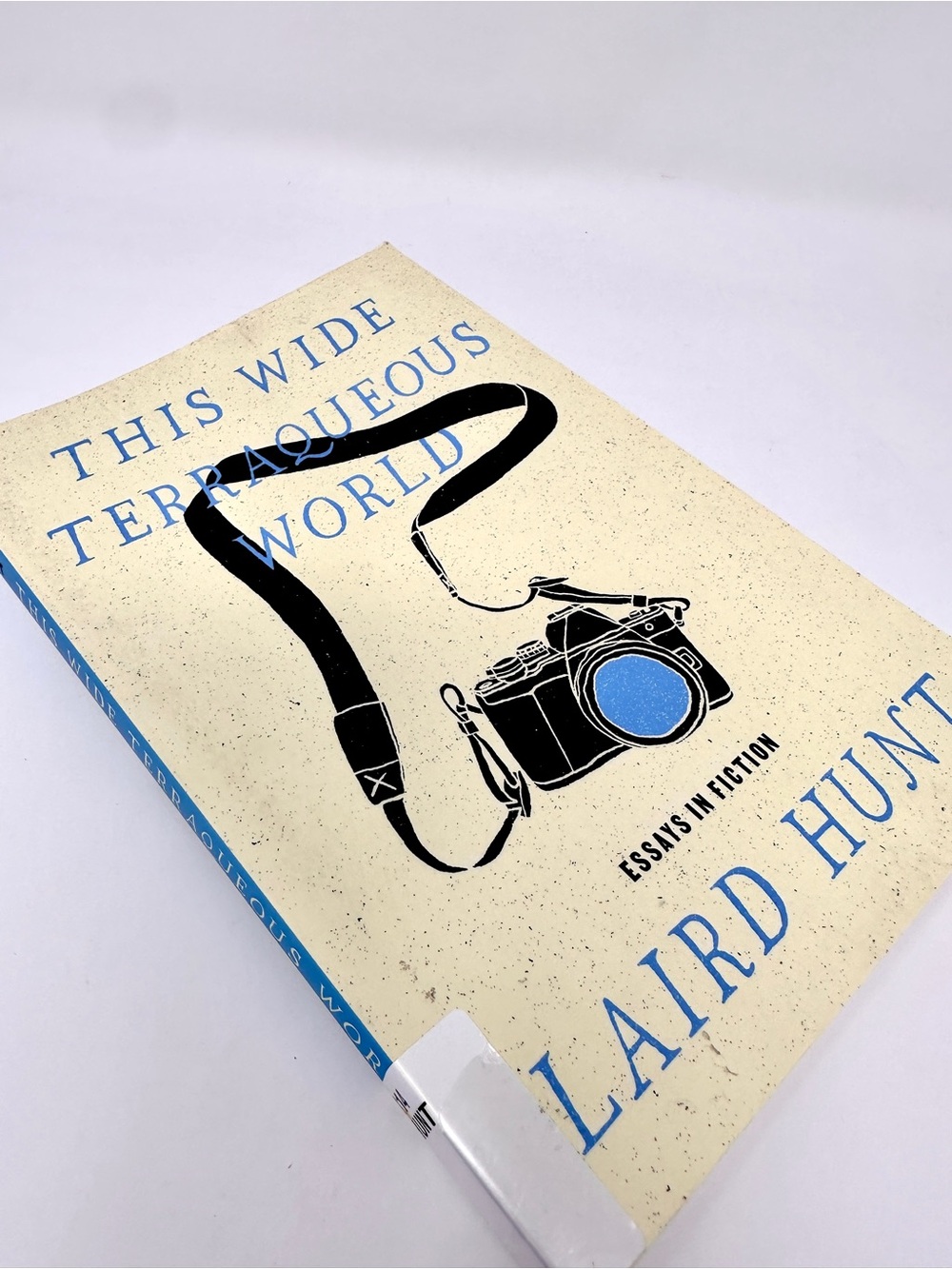 Book - This Wide Terraqueous World : Essays in Fiction by Laird Hunt